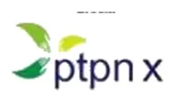 PTPN X